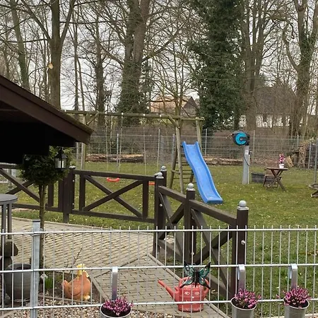 Spass & Ferien Auf Dem Alpaka Hof 2