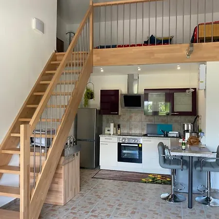 Spass & Ferien Auf Dem Alpaka Hof 2