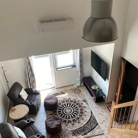 Spass & Ferien Auf Dem Alpaka Hof 2