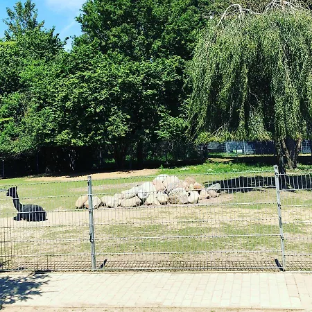 Spass & Ferien Auf Dem Alpaka Hof 2 Apartment Lenschow