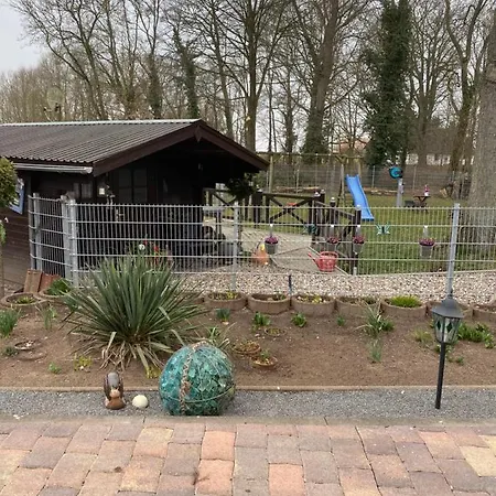 Spass & Ferien Auf Dem Alpaka Hof 2 Lenschow