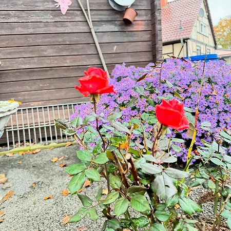 Spass & Ferien Auf Dem Alpaka Hof 2 Apartment