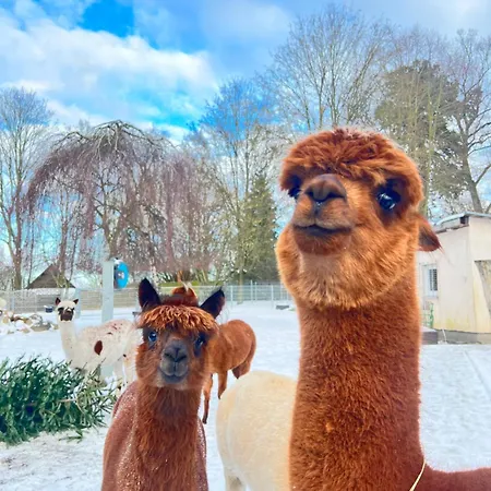 Apartment Spass & Ferien Auf Dem Alpaka Hof 2