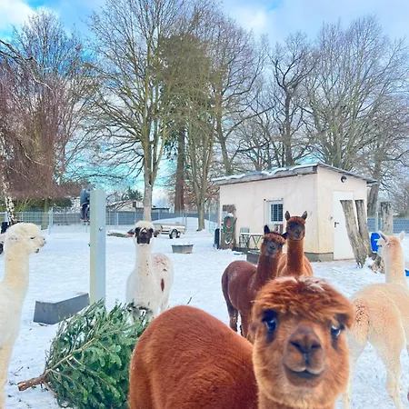 Spass & Ferien Auf Dem Alpaka Hof 2 Apartment *