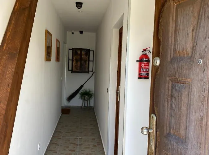 Spass & Ferien Auf Dem Alpaka Hof 2 Lenschow