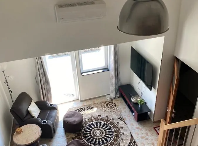 Spass & Ferien Auf Dem Alpaka Hof 2