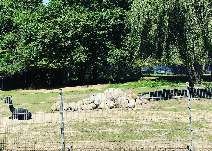 Spass & Ferien Auf Dem Alpaka Hof 2 Апартаменты Lenschow