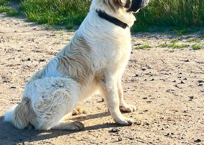 Апартаменты Spass & Ferien Auf Dem Alpaka Hof 2