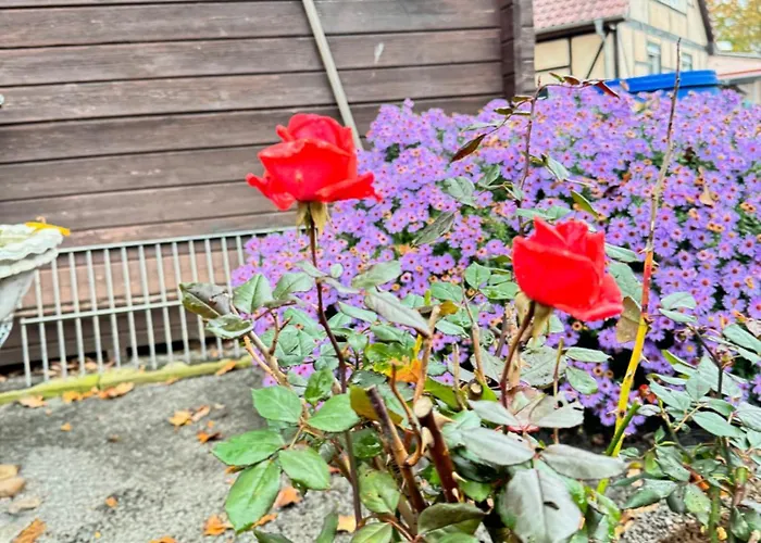 Spass & Ferien Auf Dem Alpaka Hof 2 Апартаменты