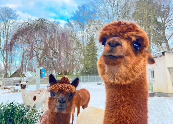 Апартаменты Spass & Ferien Auf Dem Alpaka Hof 2