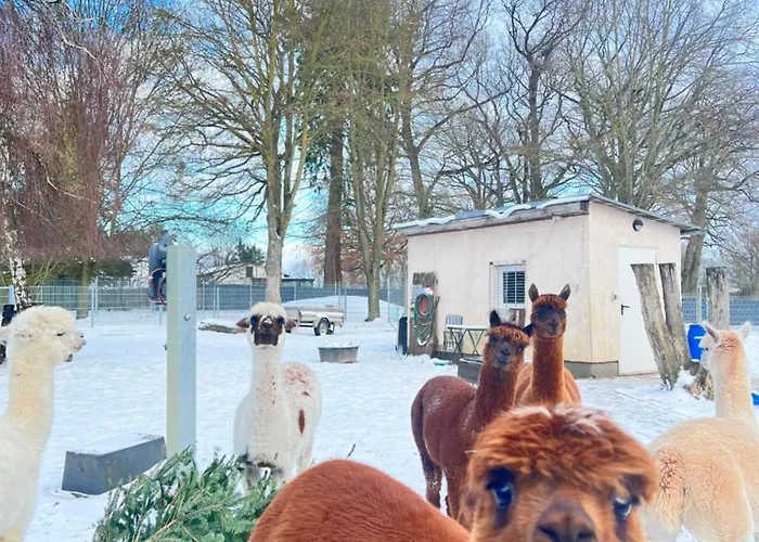 Spass & Ferien Auf Dem Alpaka Hof 2 Апартаменты *